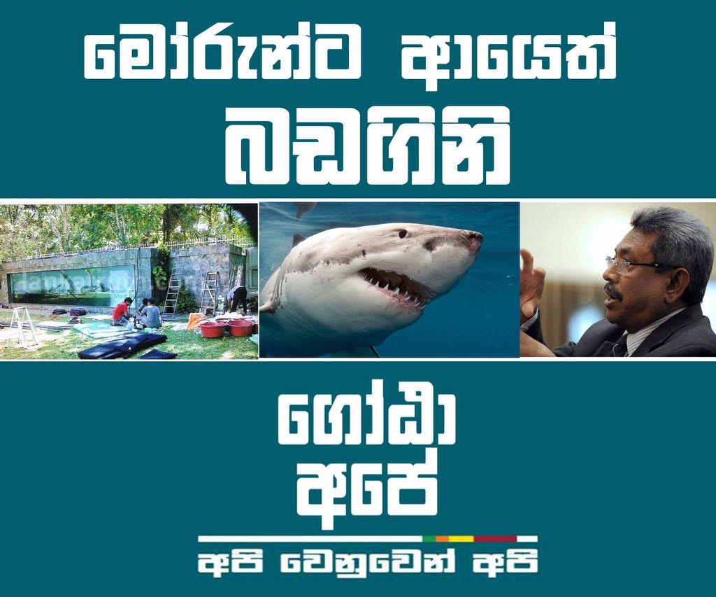 2017 11 29 PHOTO 00001051