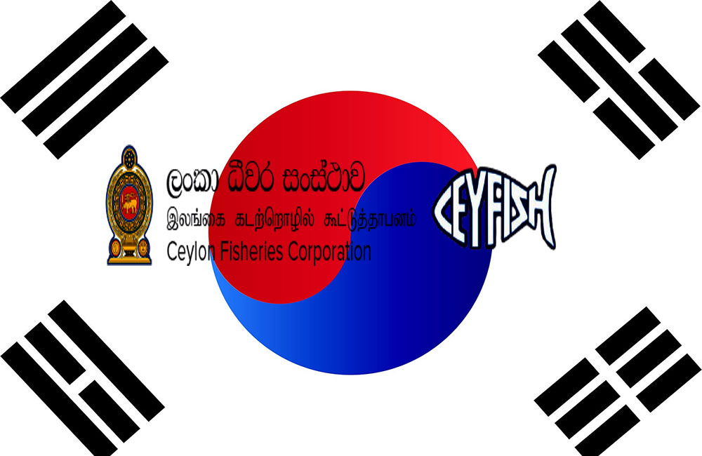 ධීවර සංස්ථාව කොරියාවට