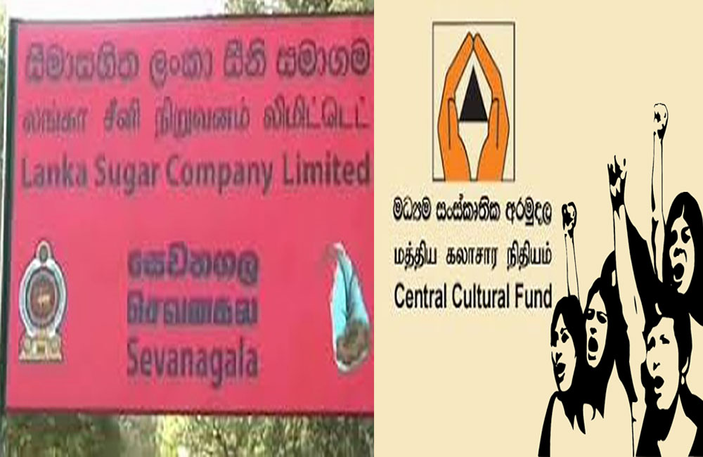 ආයතන දෙකක් සඳහා  රාජ්‍ය සේවක වැටුප් ගෙවීම් දුෂ්කර අඩියකට !