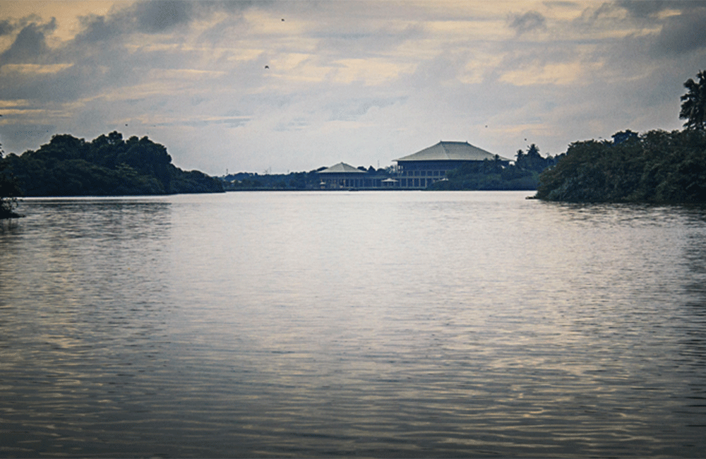 කිඹුලන් පාර්ලිමේන්තුවට !