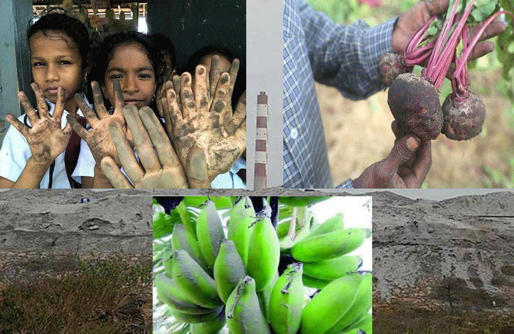 නොරොච්චෝලේ විෂ වායු හා අළු  අනුරපුර ජය ශ්‍රී මහා බෝධිය දක්වා ඇවිත් -  ආචාර්ය රනිල් සේනානායක 