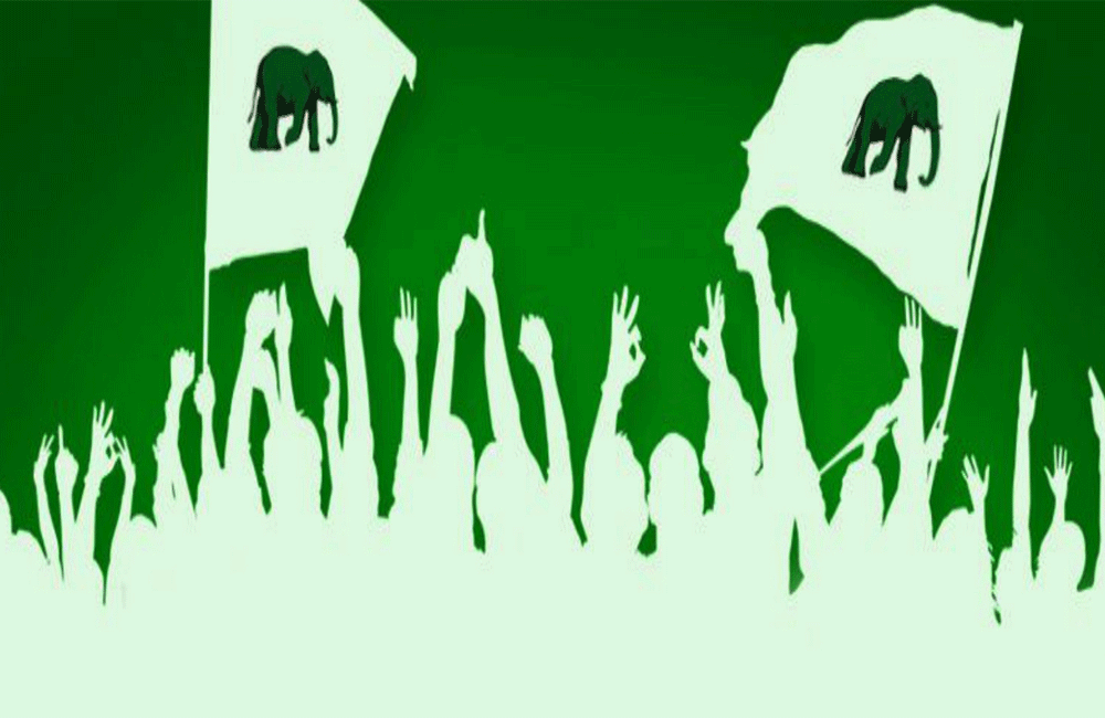 &quot;කොට අදින අලි&quot; එක හඬින් ඉල්ලන : රුවන්ගේ ප්‍රතිසංවිධාන වාර්තාව මෙන්න