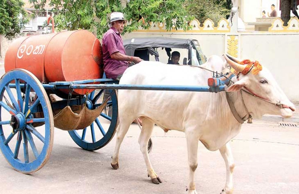 භූමිතෙල් ලීටරය රු:70 ට අඩුවෙයි !