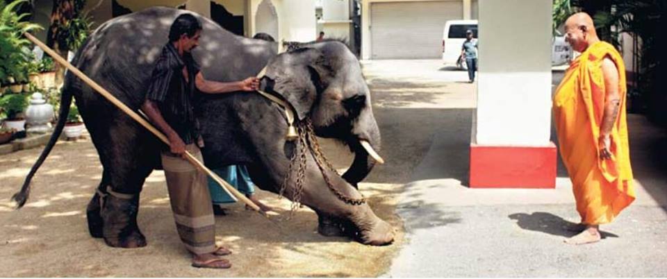 27331803 10155367551484226 5653770549502858047 n