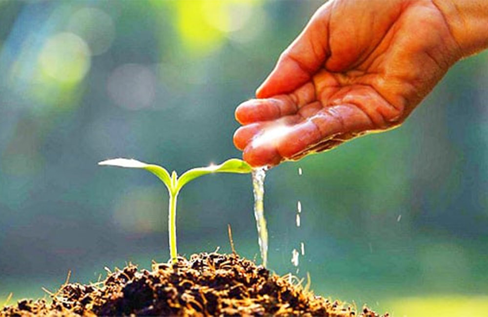 කාබනික වගාවේ යෙදෙන ගොවීන්ට පොහොර සහනාධාරය වෙනුවට මුදල් ප්‍රතිපාදන