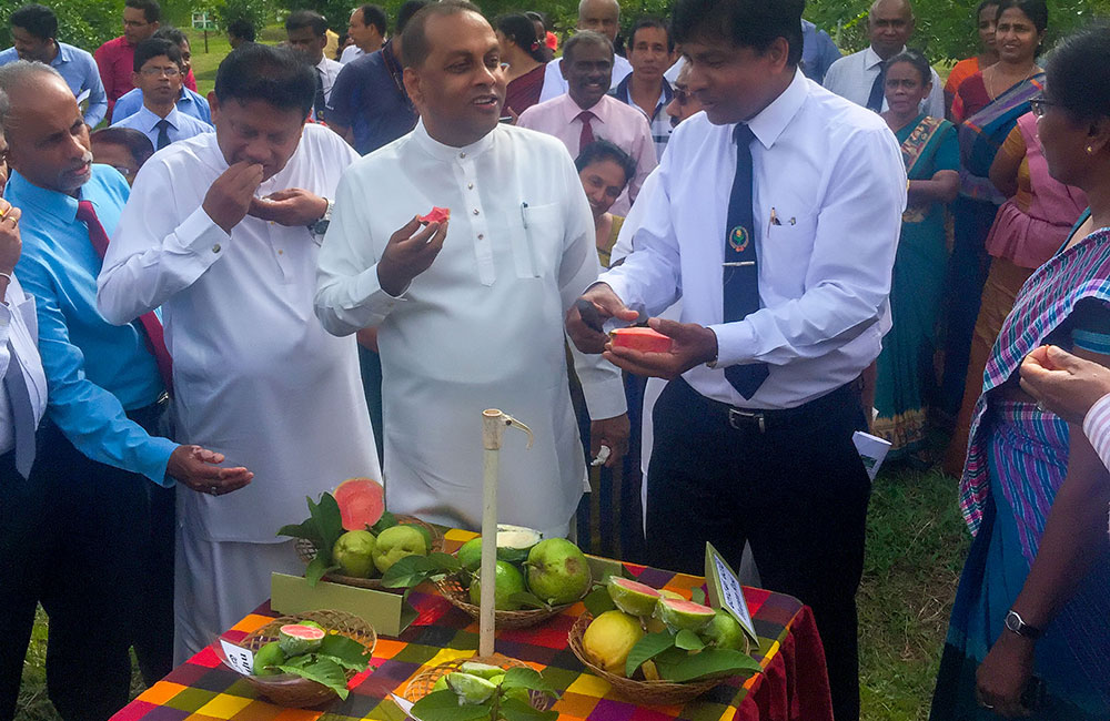 පලතුරු තාක්ෂණ ප්‍රදර්ශනය ඇරඹේ !