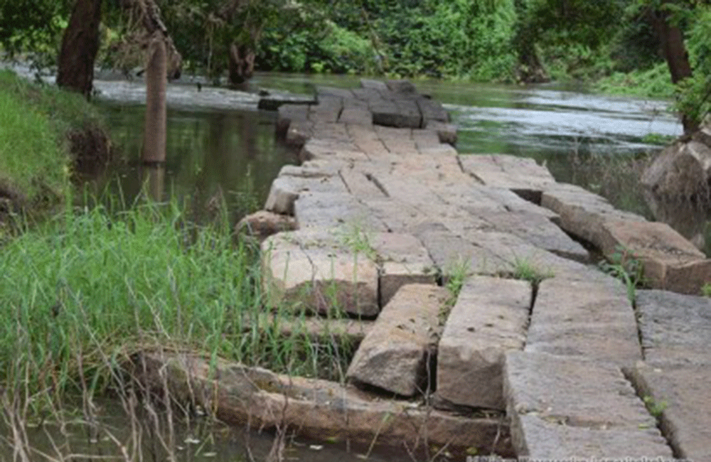 කප්පච්චි ඉදිකිරීම් නිසා වනාන්තර රැසක් අවධානමේ