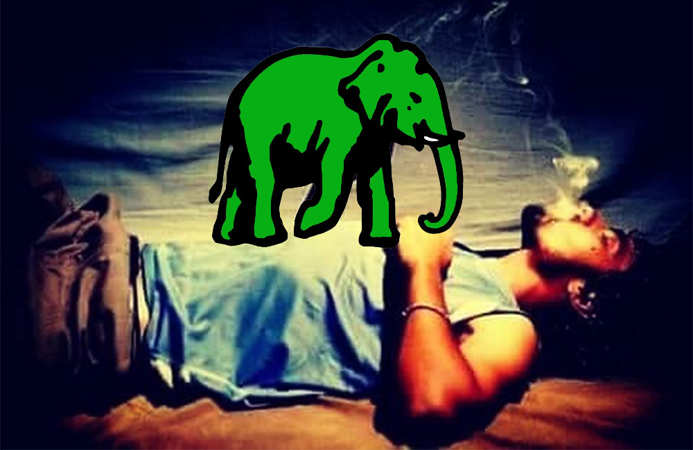 එජාප කොළඹ ලැයිස්තුවල කුඩුකාරයින් !