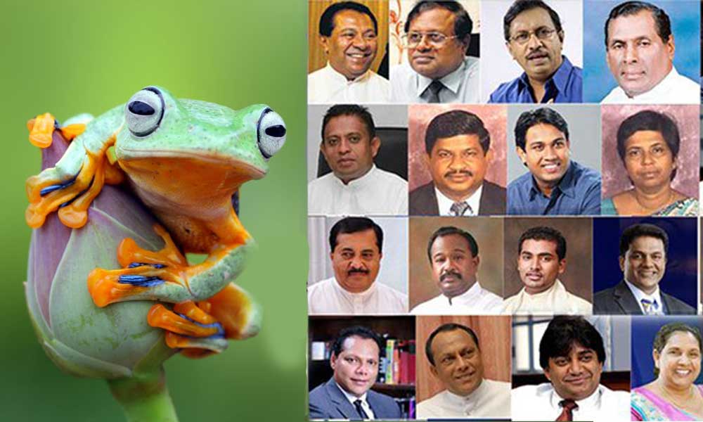 ශ්‍රීලනිප 16 ට පොහොට්ටු ලයිස්තුවෙන් ඉඩක් !
