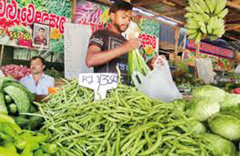 මිල පාලනය වෙනුවට රට පුරා එළවළු පෝලිම් : රැල්ල සූදානම් !