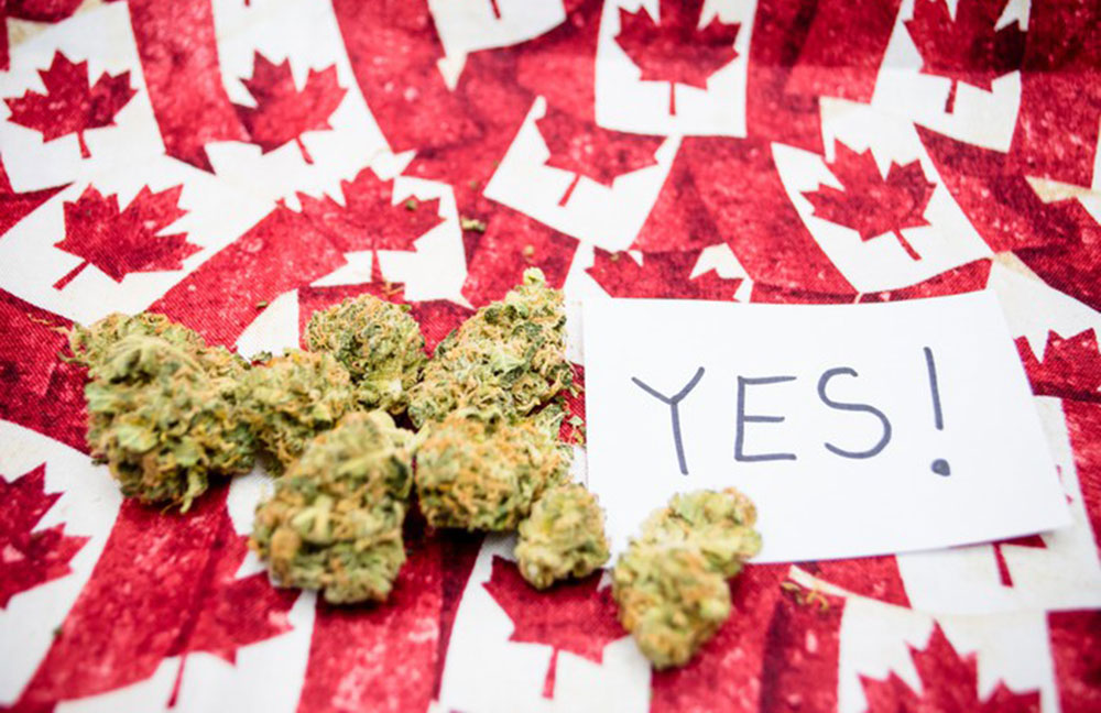 කැනඩාවත් කංසා නීතිගත කරයි !