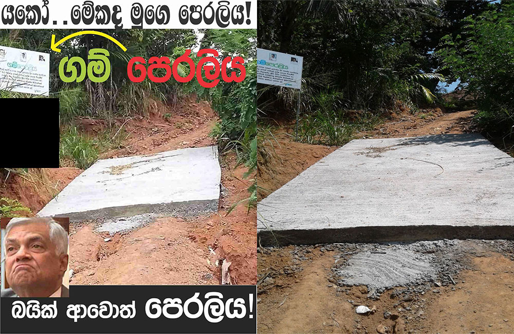 ගම්පෙරළිය නිසා පොහොට්ටුව මරු විකල්ලෙන් : ගහපු මඩ අතේ මාට්ටු !