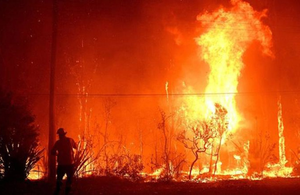 ඔස්ට්‍රේලියාවේ නිව් සවුත්වේල්ස් ප්‍රාන්තයේ ලැව් ගින්නක්