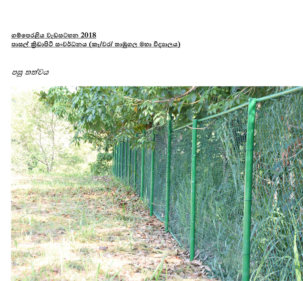 thambu 4