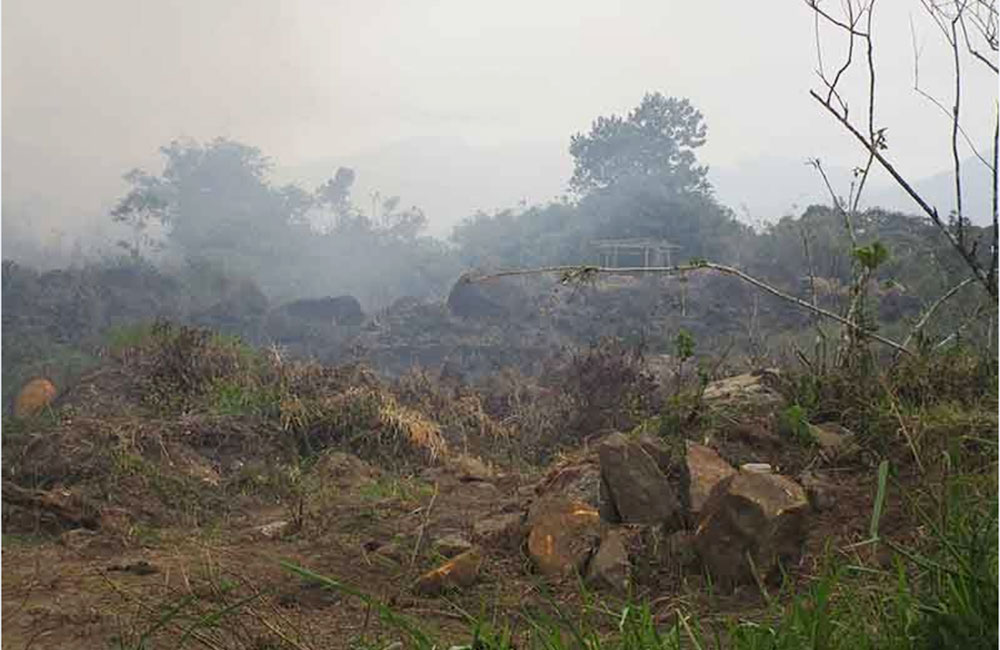 සිංහරාජ අලිමංකඩ වනසයි : ජනාධිපති සිරිසේන, පරිසර විෂයේ වගකීම ඔබ සතුයි !