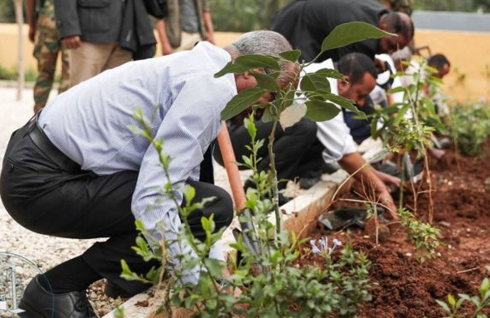 ඉතියෝපියාවෙන් නව වාර්තාවක්