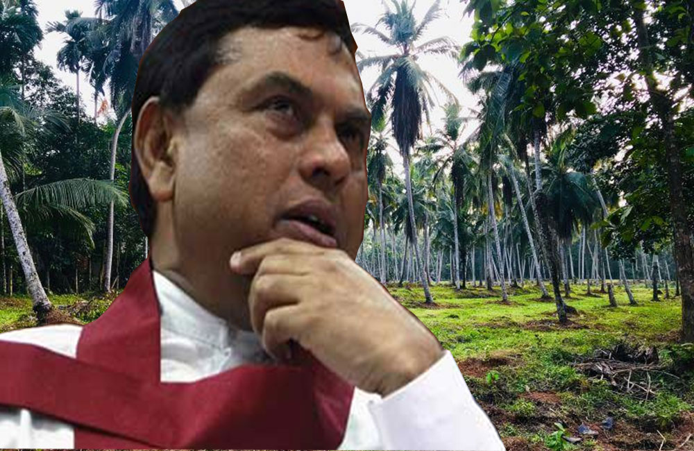 බැසිල්ගේ පොල් ඉඩම් නඩුව : 2020 මාර්තු 18 ට කල් දාලා !   