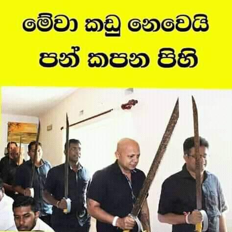 PHOTO 2019 05 01 11 15 14