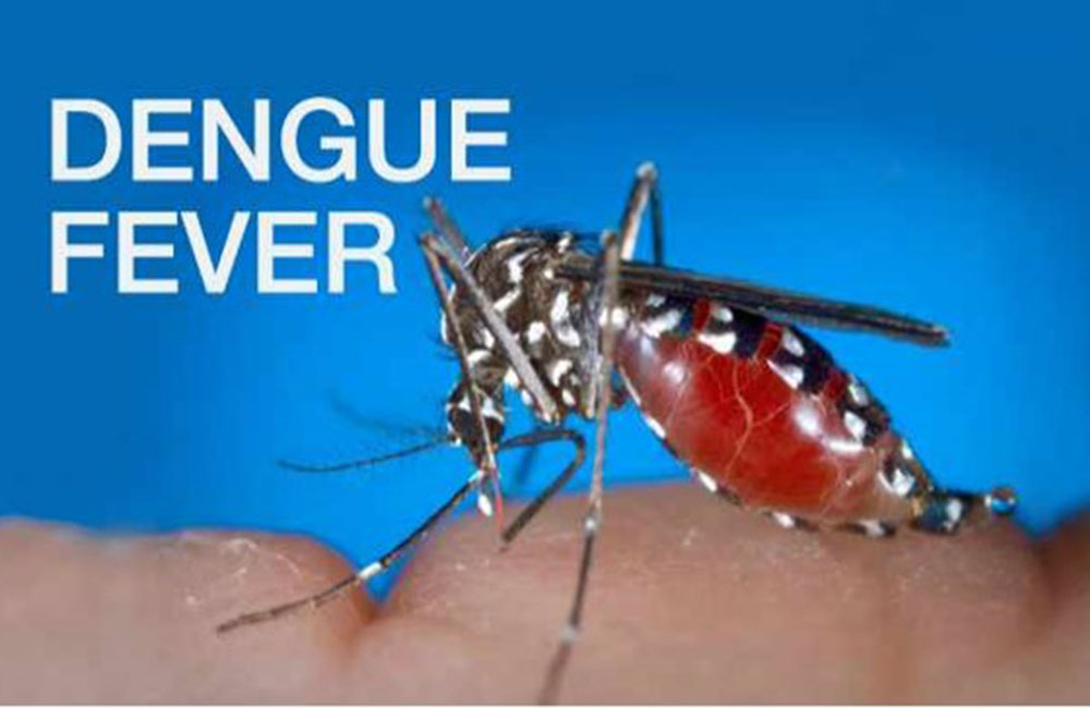 බෝම්බ බිය අස්සේ ඩෙංගු අවදානමත්