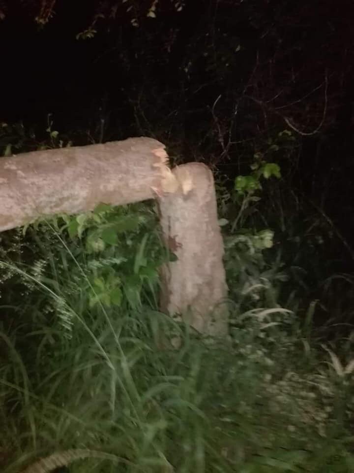 IMG 20191116 WA0027