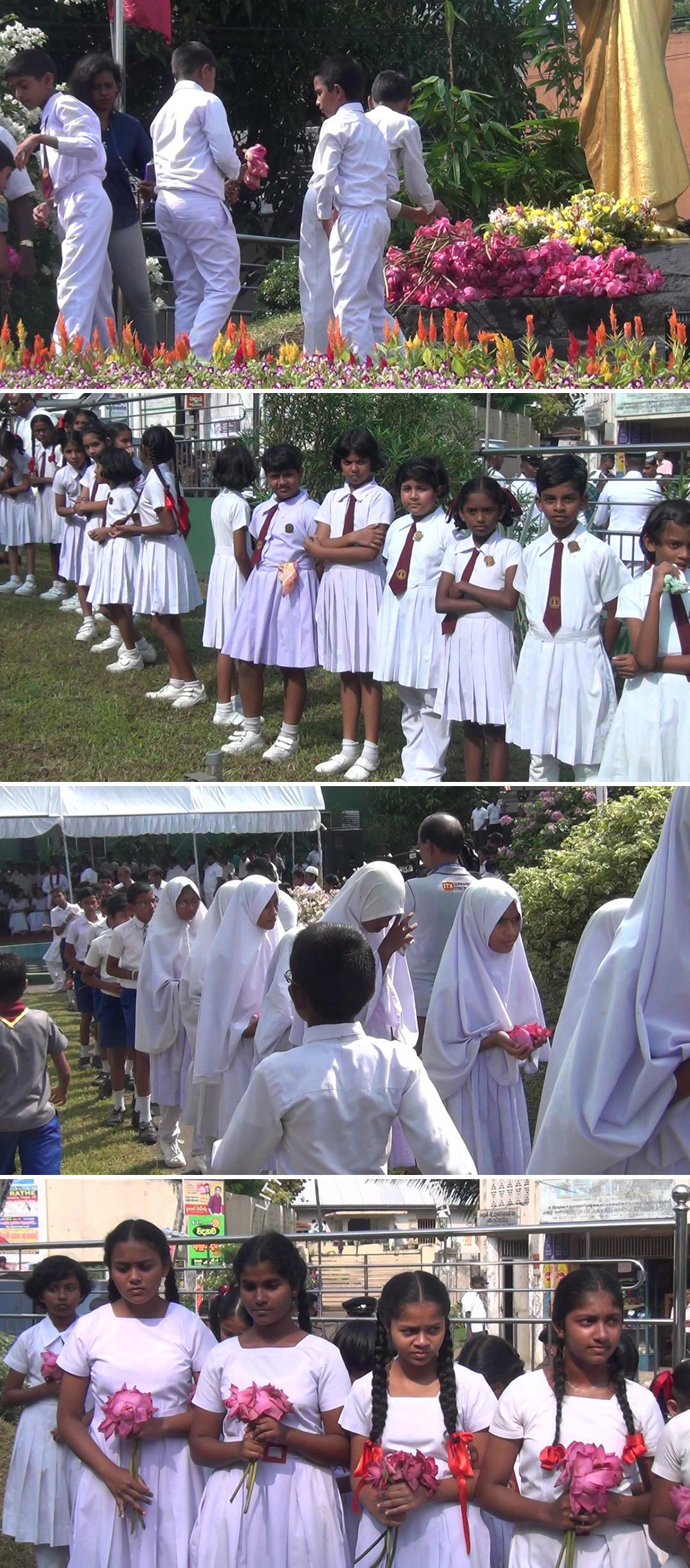 pohottu campan 1000px