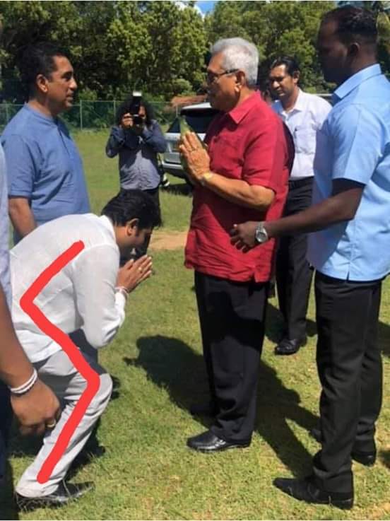 72787795 625497571311278 3324402122732077056 n