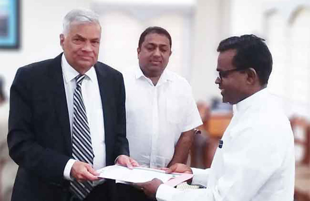 පැල්මඩුල්ල ප්‍රධාන සංවිධායක ධූරය කරු පරණවිතානට