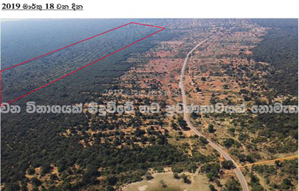 2015 න් පසුව විල්පත්තු වන විනාශයක් නෑ : ගුවන් හමුදා නිරීක්ෂණ මෙන්න !