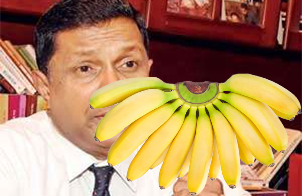 ඌවේ ආණ්ඩුකාර මෛත්‍රී  : සජිත්ව කෙසෙල් ඇවරියේ එල්ලයි !