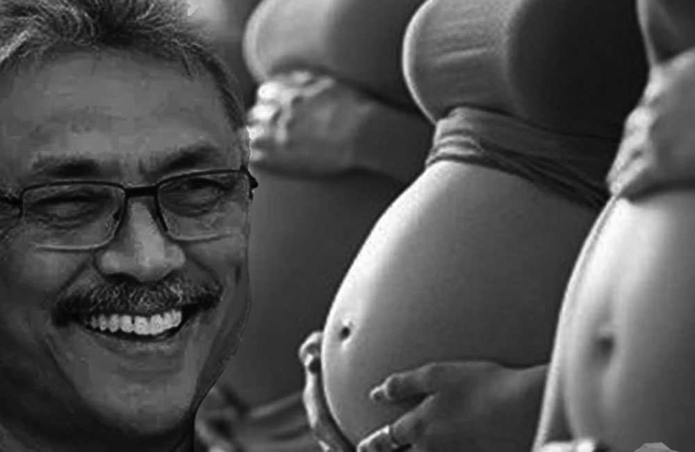 ගෝඨා ආවා විතරයි : පැලෝපීය නාල - වඳ කතා අතුරුදහන් !