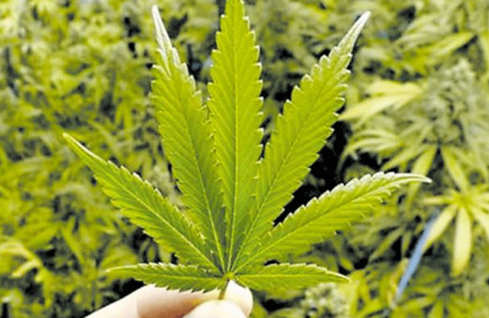 UN තුළ කංසා ඉස්සෙයි !