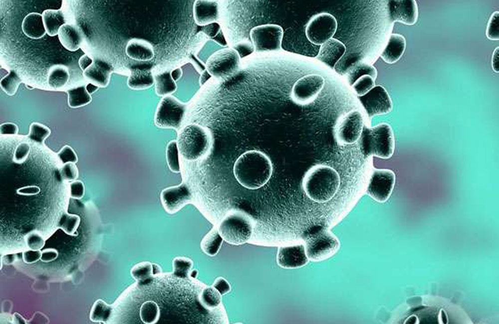 කොරෝනා, සැකපිට  රෝගීන් 23ක් IDH රෝහලේ