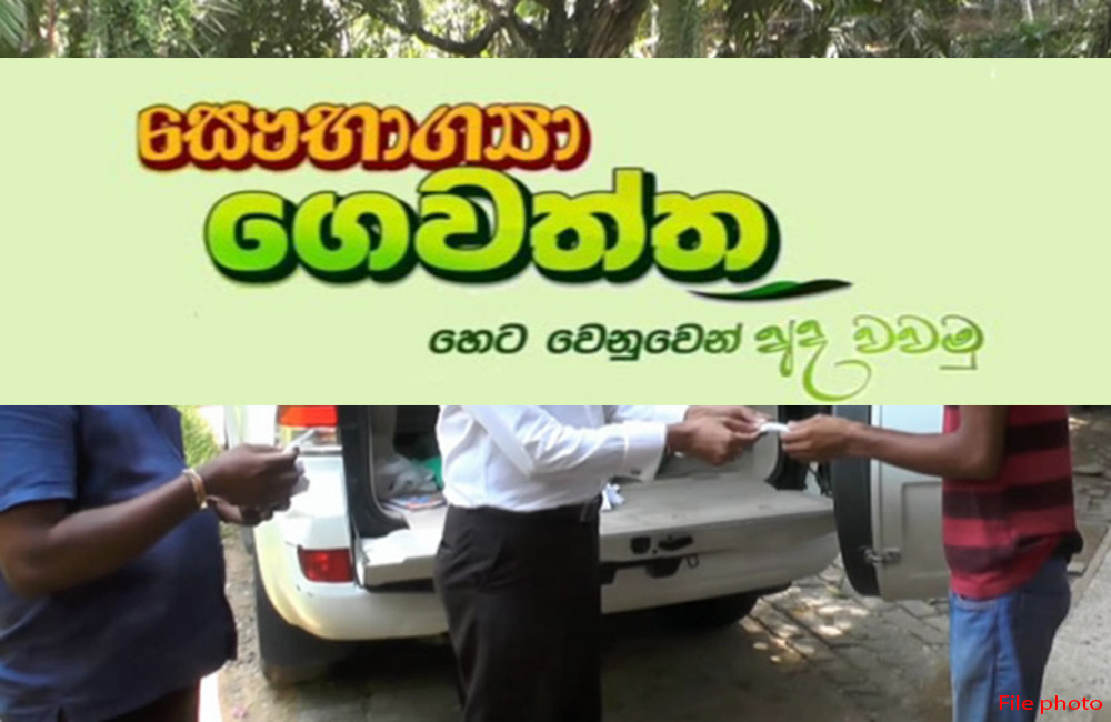 සෞභාග්‍යා වගාවට : දකුණු පළාත් කනිෂ්ඨ අධ්‍යාපන සේවකයන් කැඳවලා !