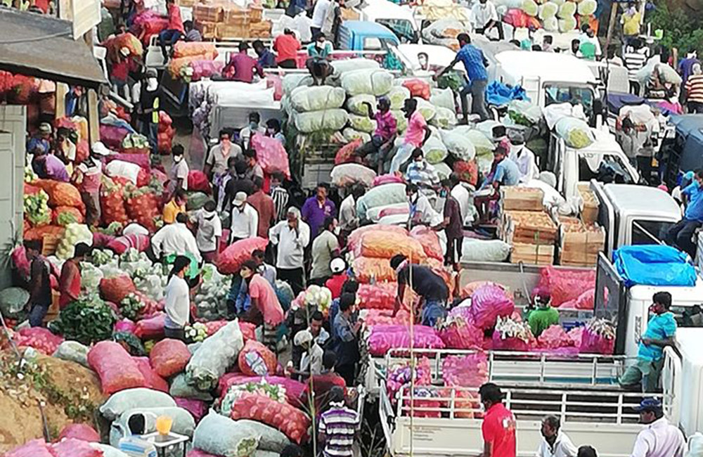 එළවළු ගොවි අවනඩුව කියන්නේ කාටද ?