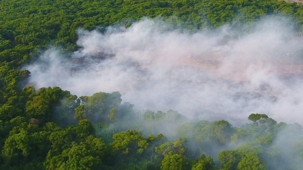 110984387 f3ca1b4d d7cd 4007 8db9 3cc52d54ade4