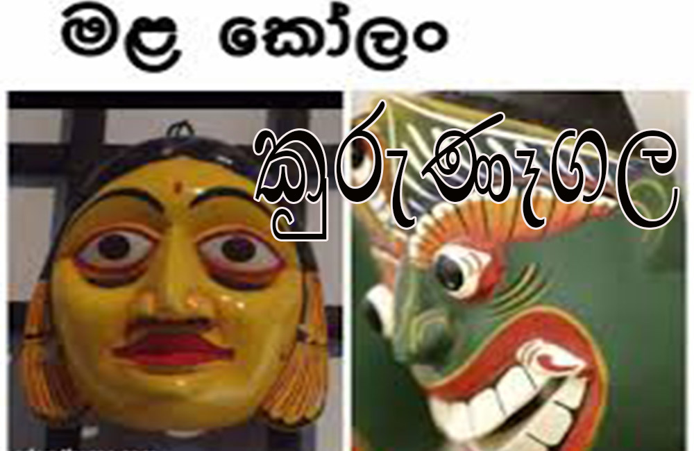 රටේම කෝලං එකතු කරන : කුරුණෑගල මළ  කෝලං !