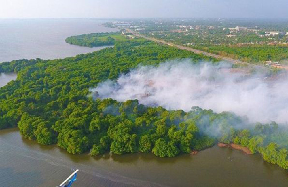 සීදුව කඩොල් කැලේ ගින්න ගැන විවාදයක් !