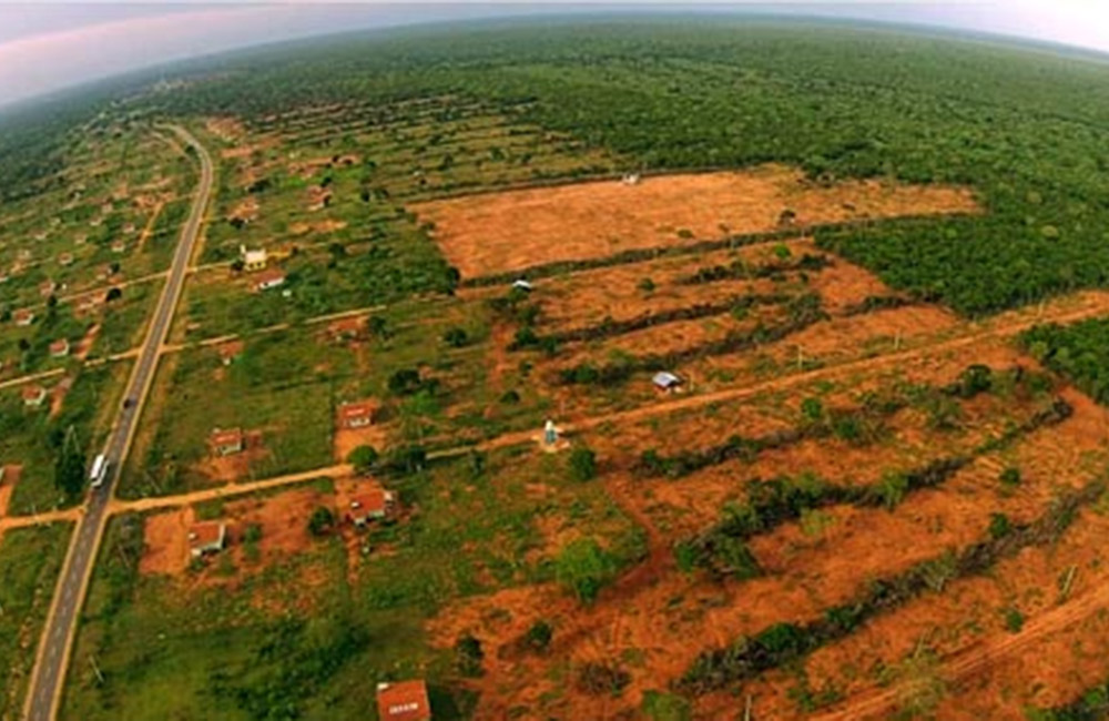 විල්පත්තුවේ අක්කර සීයක් ඩෝසර් වෙයි : ජාතිවාදීනි, කෝ සද්දේ ?