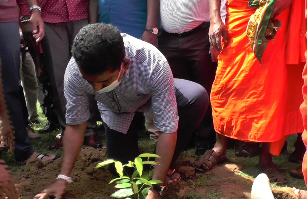 ජූලි 12 වනදා පස්වරු 12.12 ට සිටවූ ජොනීගේ පැළ 12 !