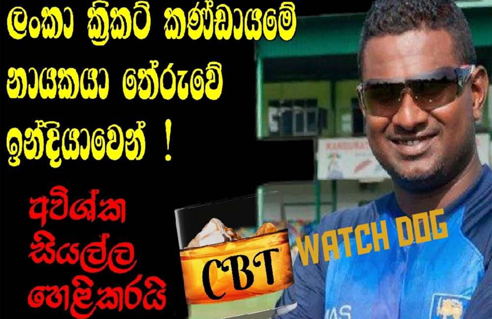 ලංකා ක්‍රිකට් කණ්ඩායමේ නායකයා තේරුවේ ඉන්දියාවෙන් : අවිශ්ක සියල්ල හෙළිකරයි  !