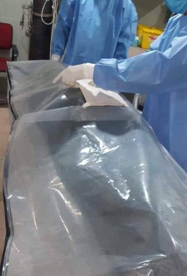 90987168 2769360083113381 8501359455684788224 n