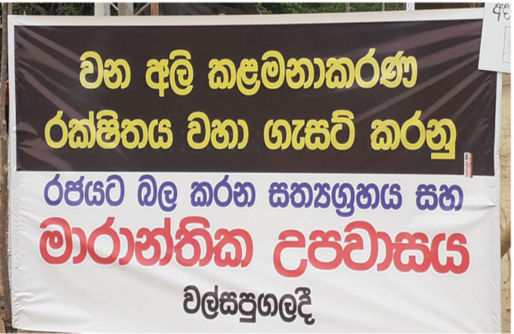 හම්බන්තොට අලි කළමනාකරණ රක්ෂිතය පිහිටුවීම : වැඩේ ඇදෙන හේතුව මෙන්න !