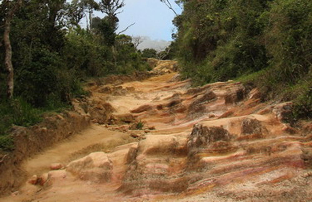 පරිසරය රැකීම ජෝක් වෙයි : සෝමාවතී රක්ෂිතයේත් අක්කර සිය ගණනක් වනසයි !