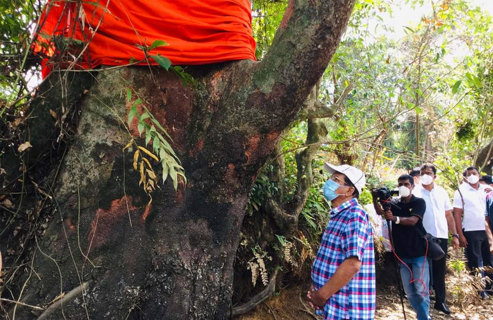 ආණ්ඩුවට එරෙහිව මෛත්‍රීත් : දාරලුවේ කෘඩියා සිලනිකා තෙරුන් වෙනුවෙන් පෙරටම !
