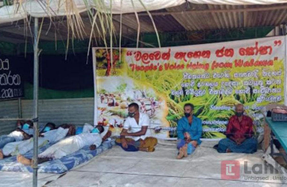 බොරු කී චමල් එපා : ගොවි විරෝධය මාරාන්තික උපවාසයකට !