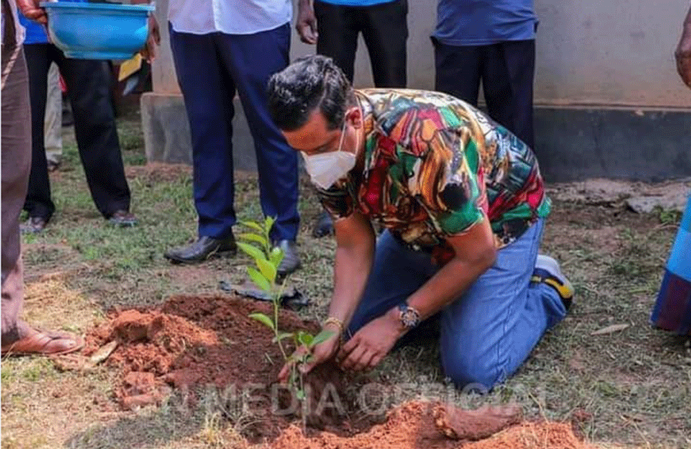 වන ඝන වැනසිල්ලට මොන පරිසර දිනද ?