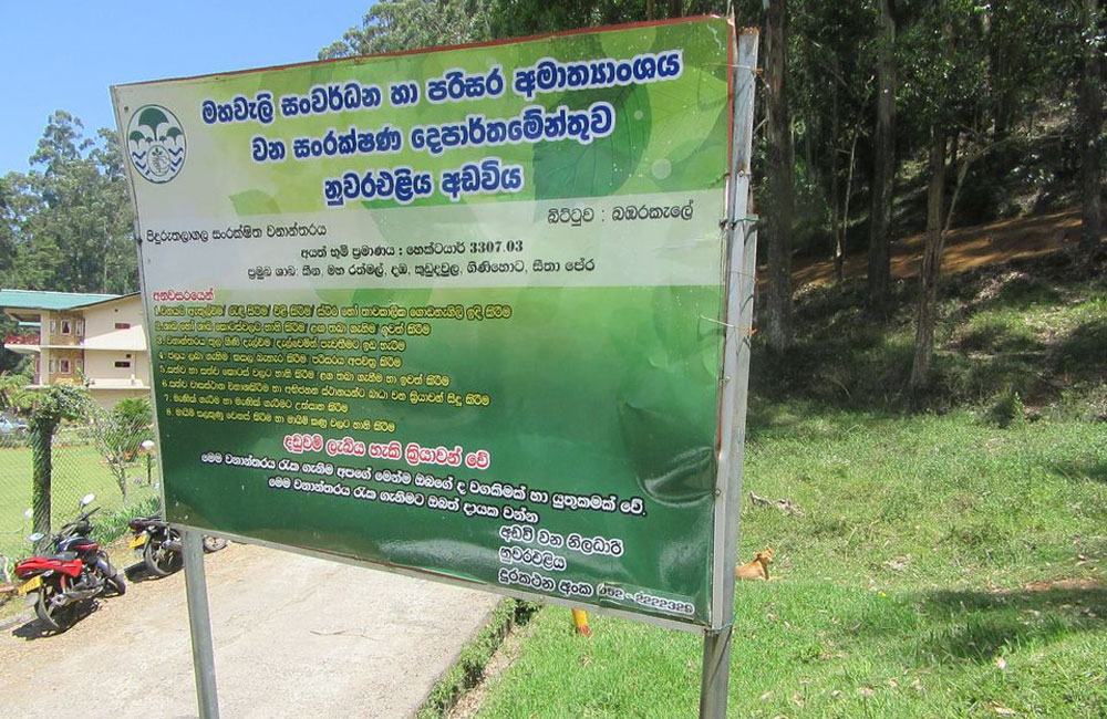 පිදුරුතලාගලට ගිනි වැලකුම් වැටක්