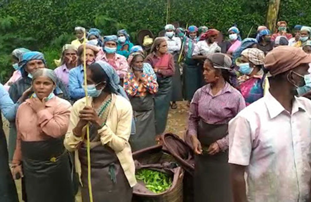 “හාම්පුතුන් උසාවි ගියොත් රජය වතු සේවකයන්ගෙ පැත්තේ” – ජනපති