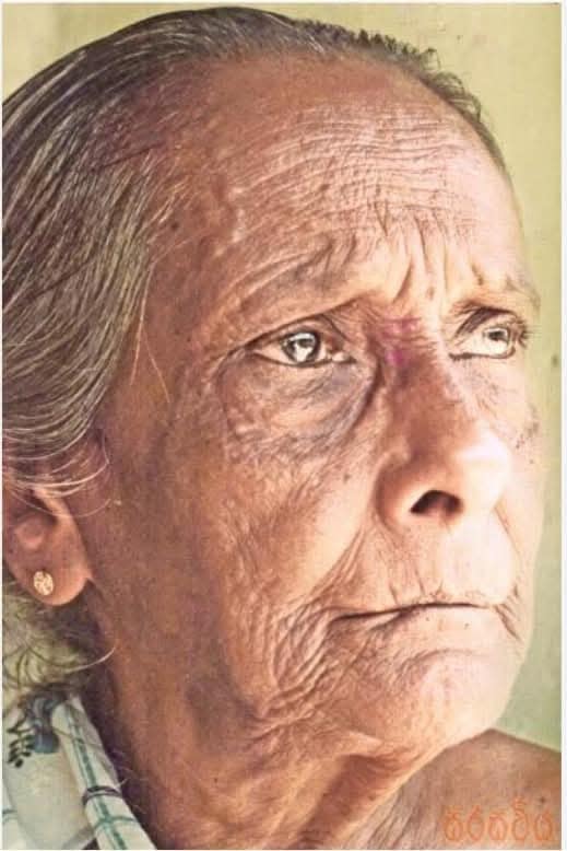 511310352 1271943164325834 9159137151171078145 n