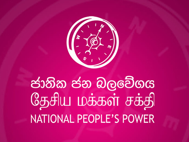 npp pic 2